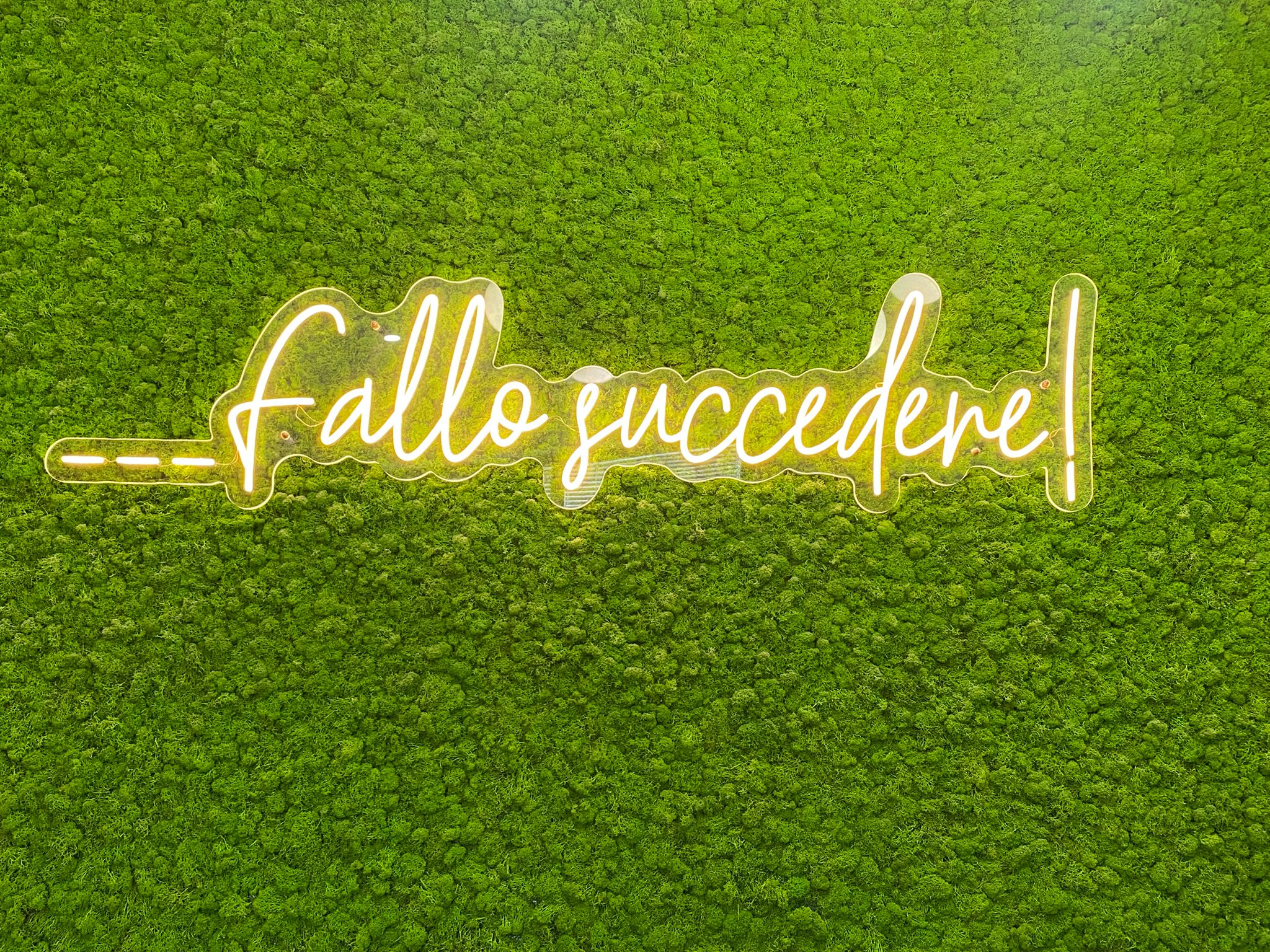 La Bellezzeria